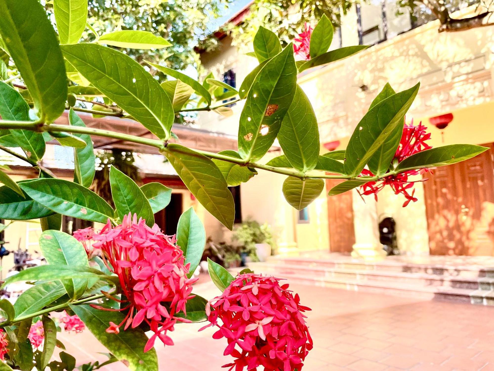 Lee Homestay Ханой Екстериор снимка